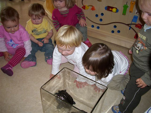 Kindergarten „Tausendfüßler“ in Hildburghausen